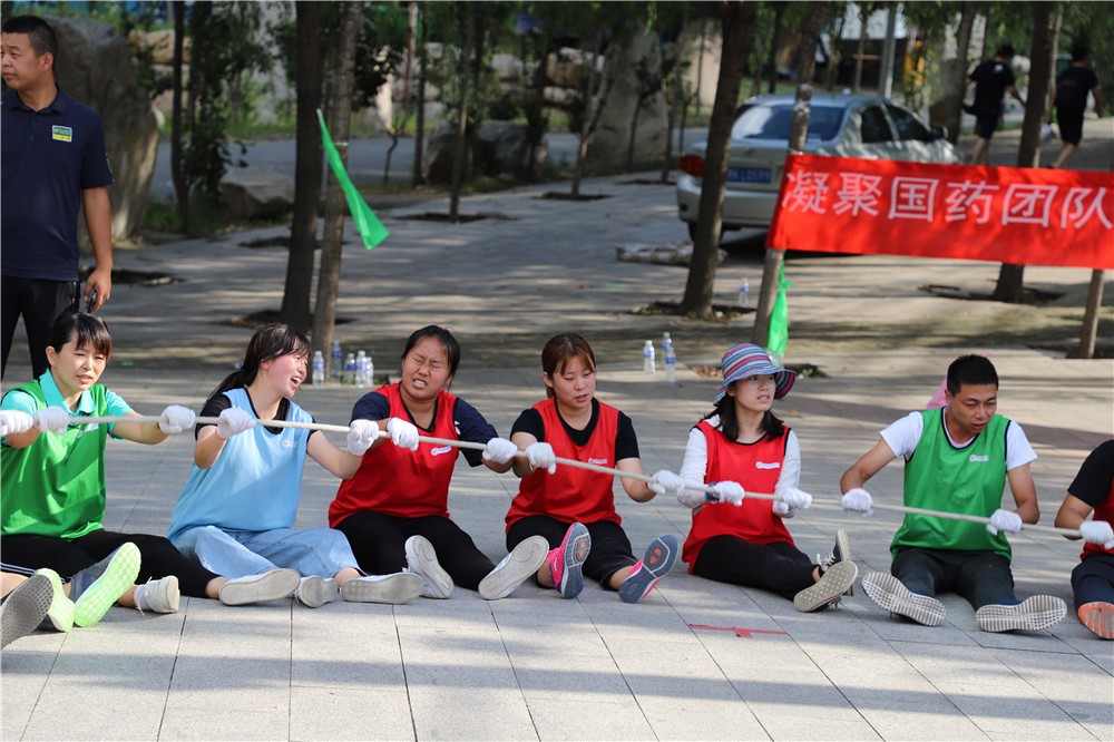 [延慶新華保險培訓(xùn)中心]-場地拓展一日團建
