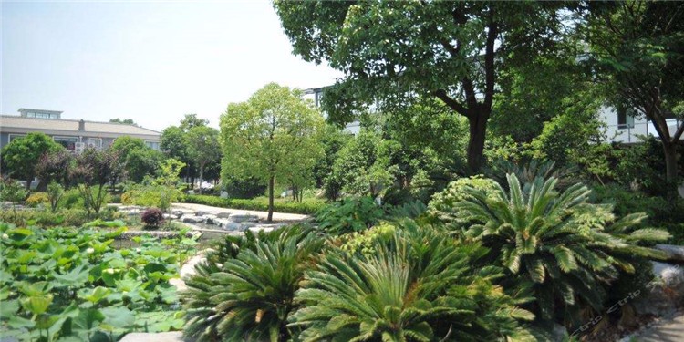 [上海華博生態(tài)拓展基地]+戰(zhàn)狼特訓(xùn)一日拓展活動