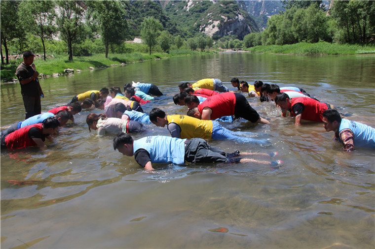 043b6df0c404d9e4c7f12d6b293fa21f.jpg 043b6df0c404d9e4c7f12d6b293fa21f.jpg